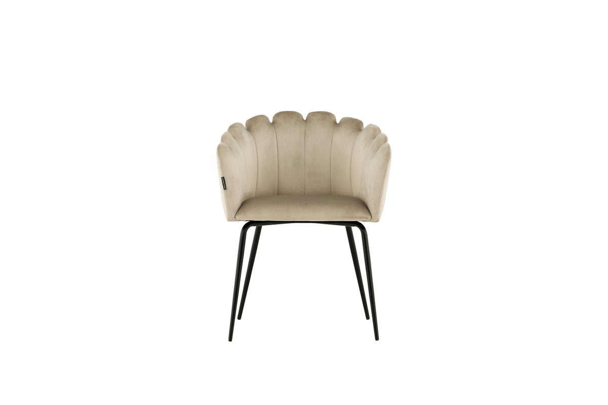 Limhamn spisebordsstol - beige, sort - billede 1