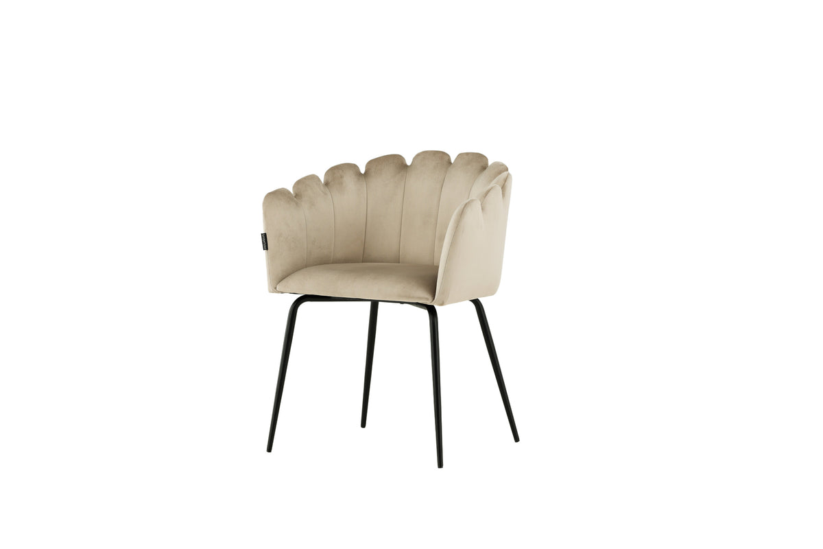 Limhamn spisebordsstol - beige, sort - billede 2