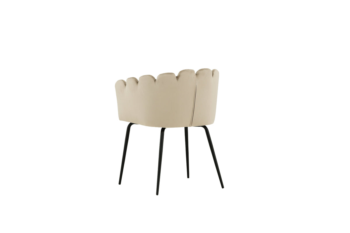 Limhamn spisebordsstol - beige, sort - billede 6